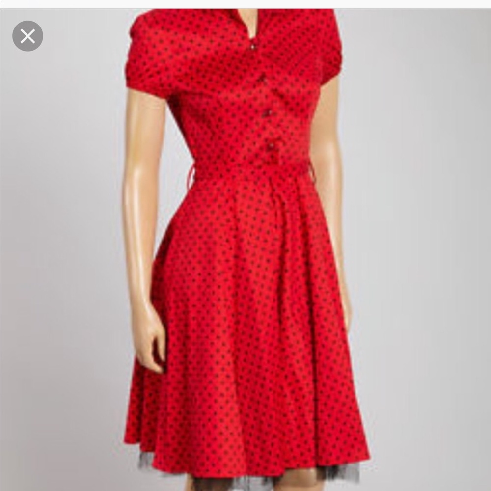 Hearts & Roses pinup style swing dress